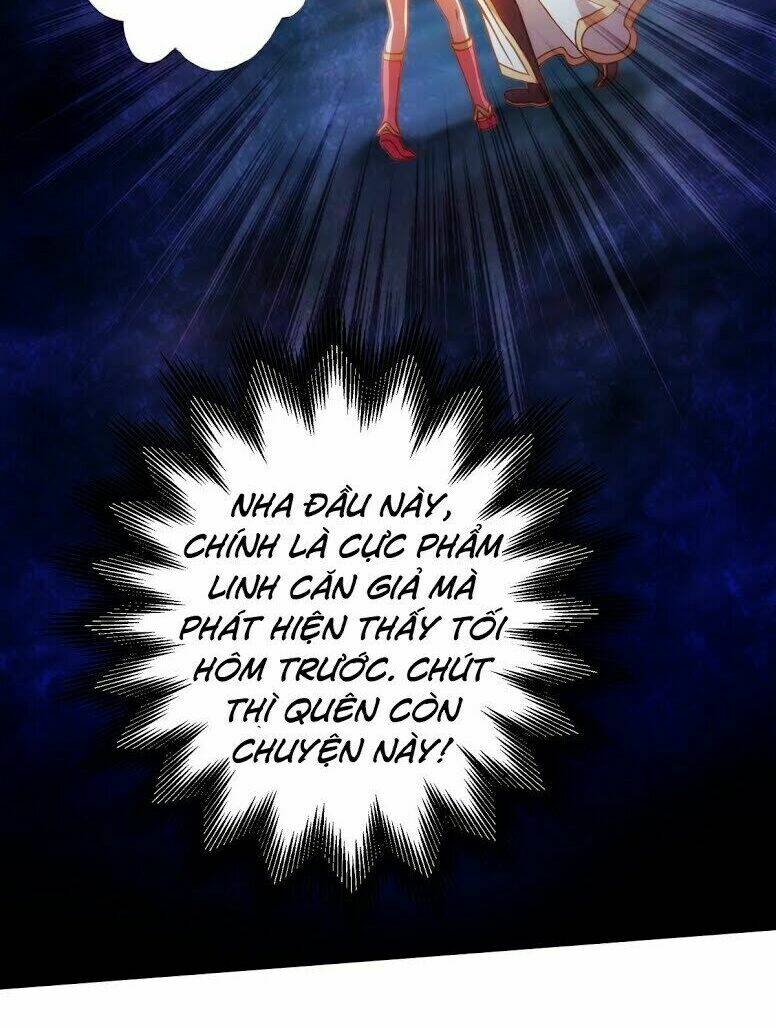 Bất Hủ Phàm Nhân: Chapter 5