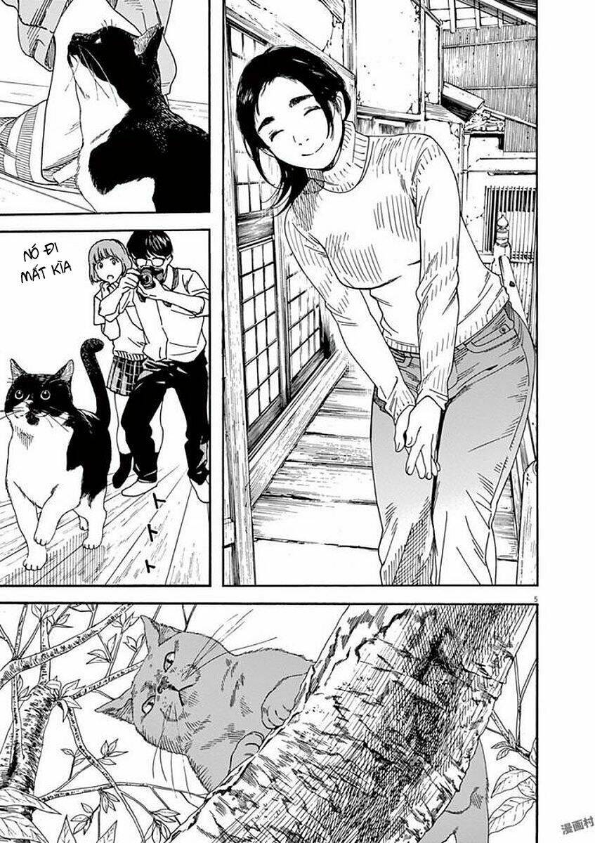 Neko No Otera No Chion-San: Chapter 49