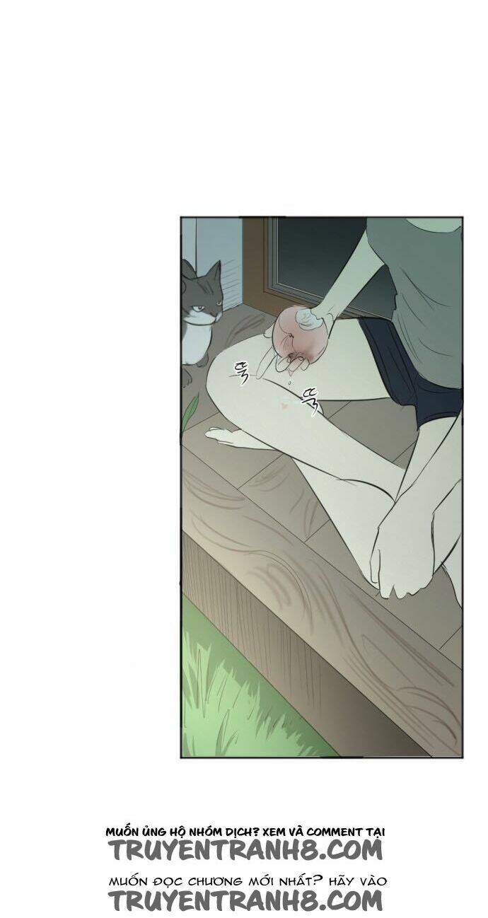 Transparent Cohabitation: Chapter 31