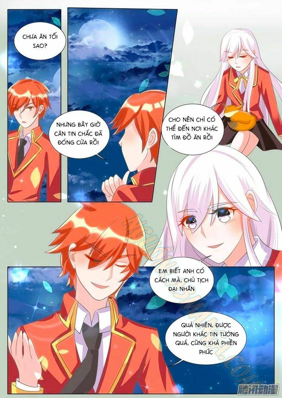 Chước Chước Lưu Ly Hạ: Chapter 104