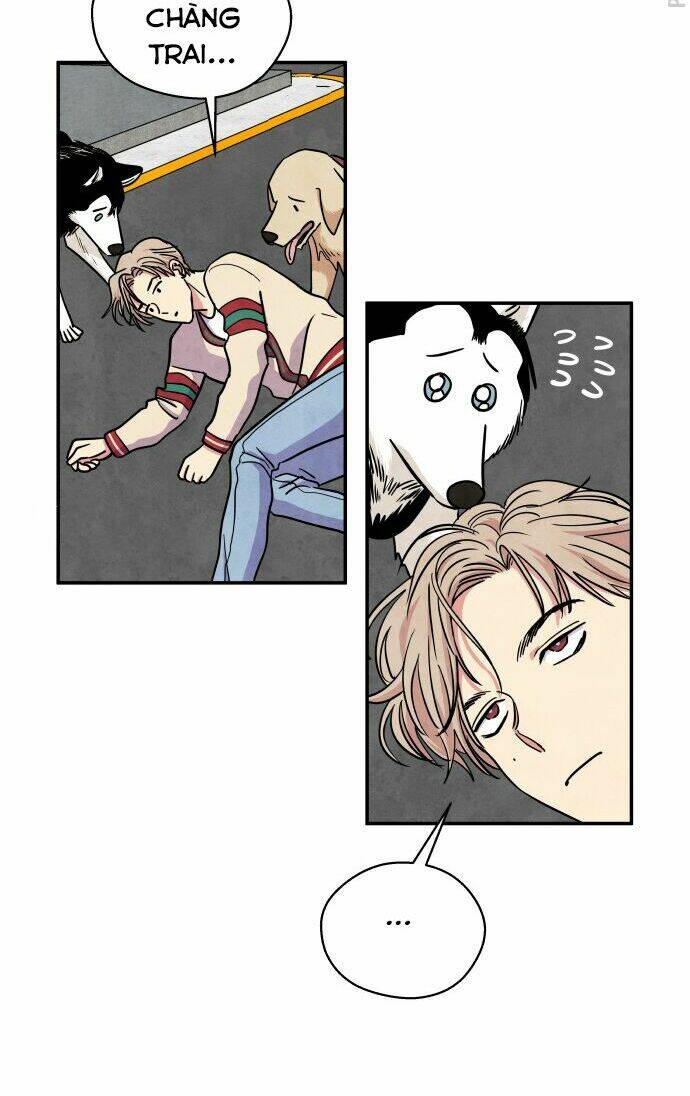 Tai Sói Và Mũ Đỏ: Chapter 28