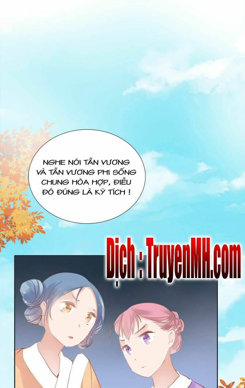 Solo Đi Vương Gia: Chapter 43