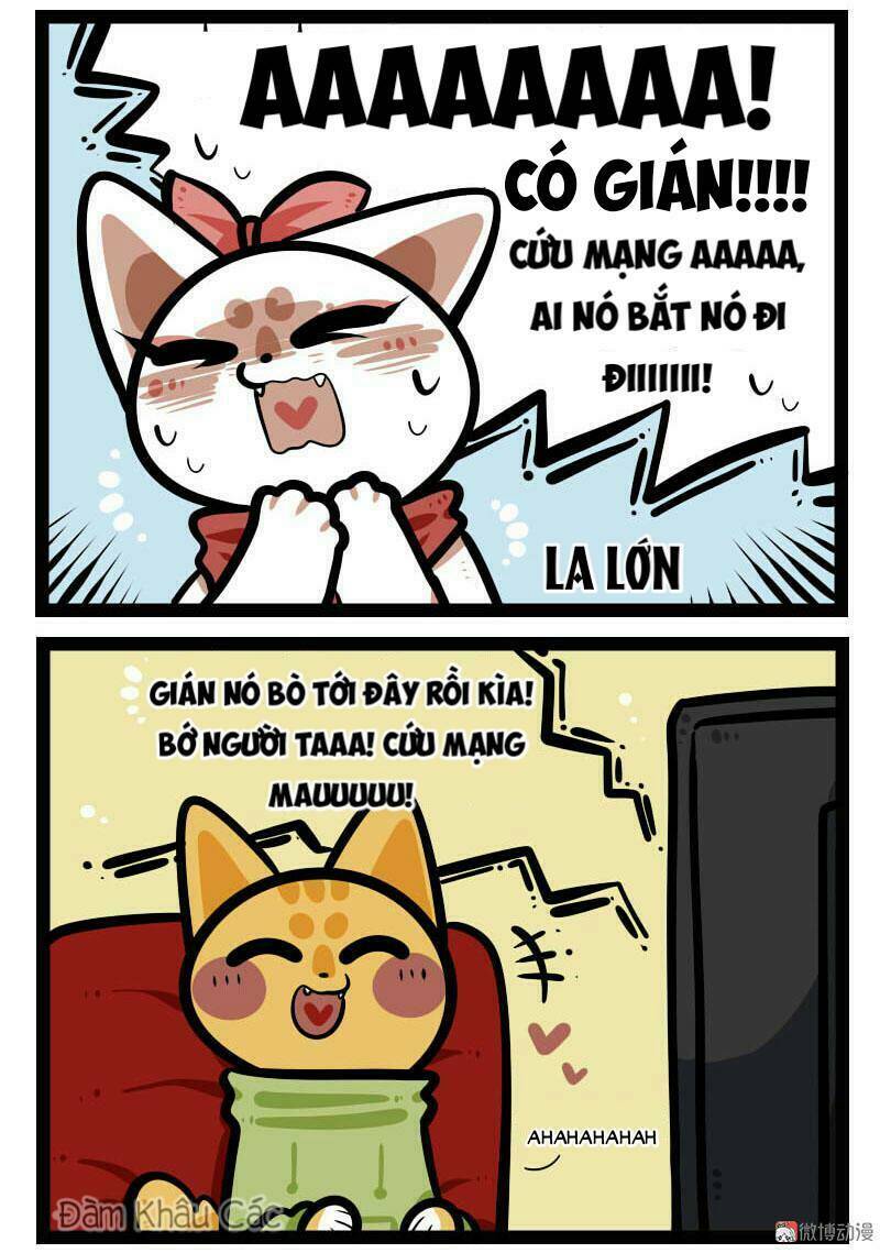 Đời Không Như Mình Tưởng: Chapter 64