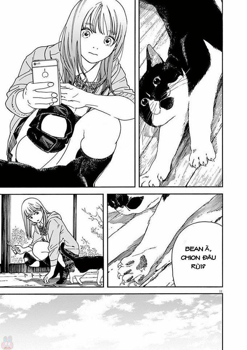 Neko No Otera No Chion-San: Chapter 49