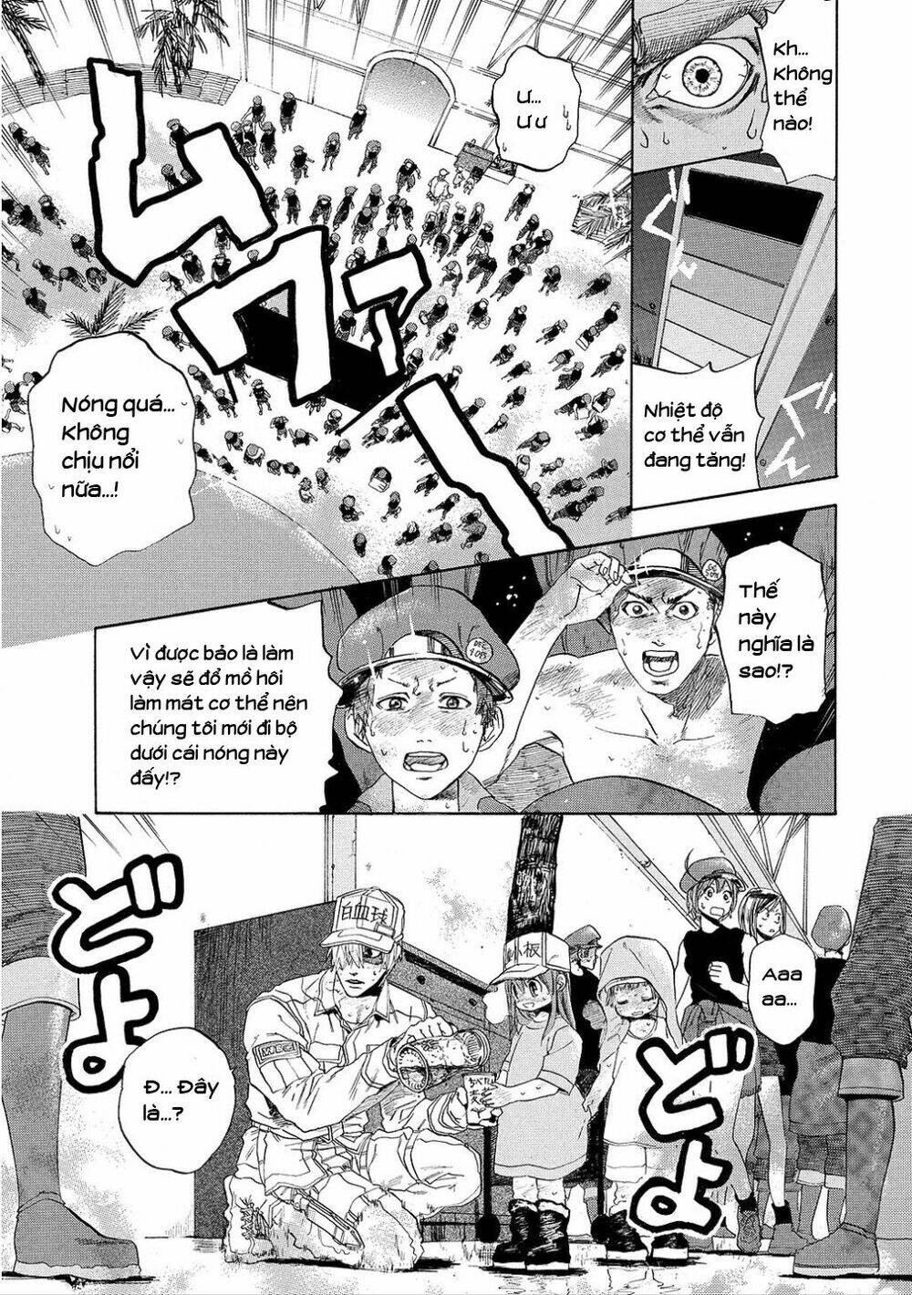 Hataraku Saibou!: Chapter 6