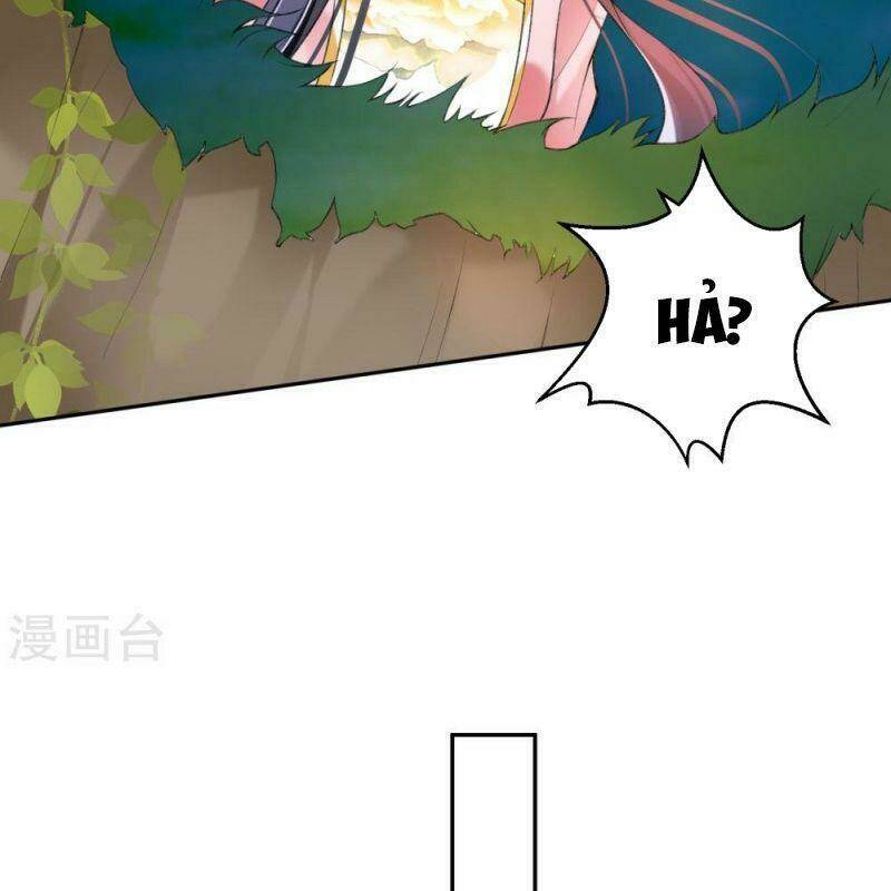 Vương Gia, Áo Lót Của Ngươi Rơi Mất Rồi: Chapter 51