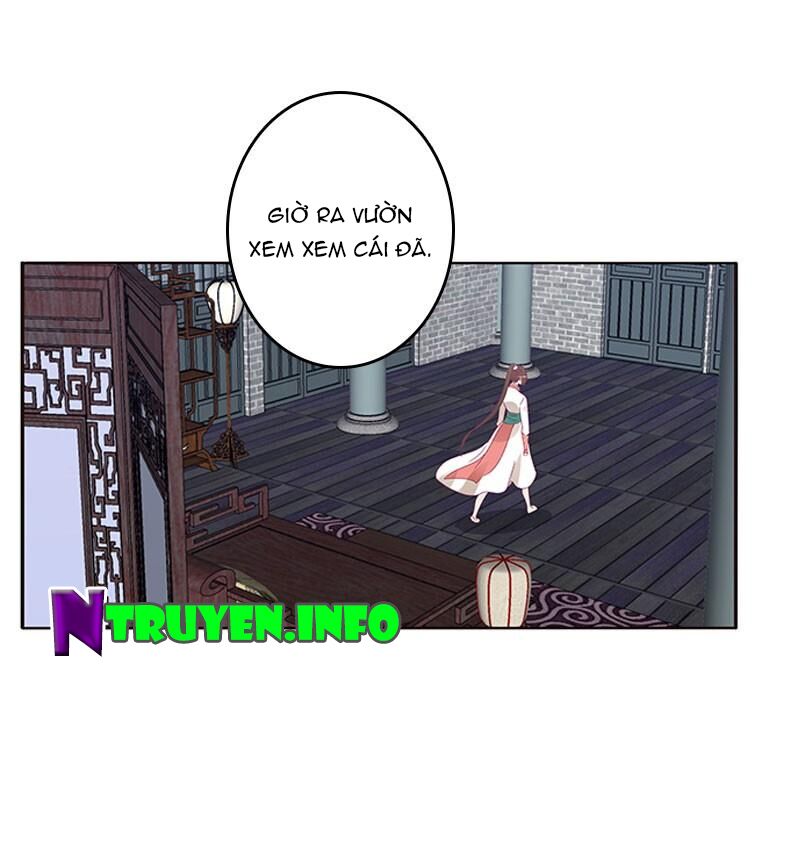 Thông Linh Phi: Chapter 382