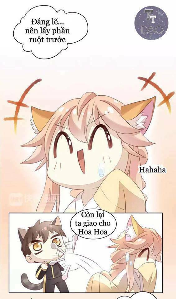 Dưới Móng Vuốt Mèo: Chapter 18