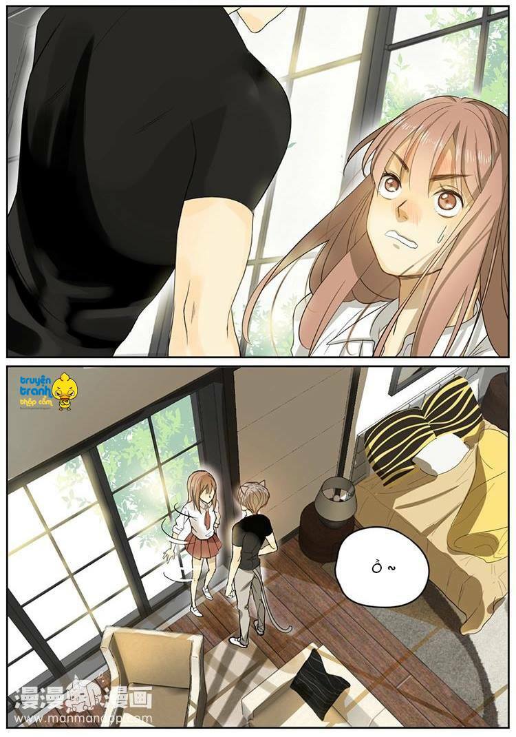 Cứu mạng ! Loài mèo thống trị thế giới rồi !: Chapter 4