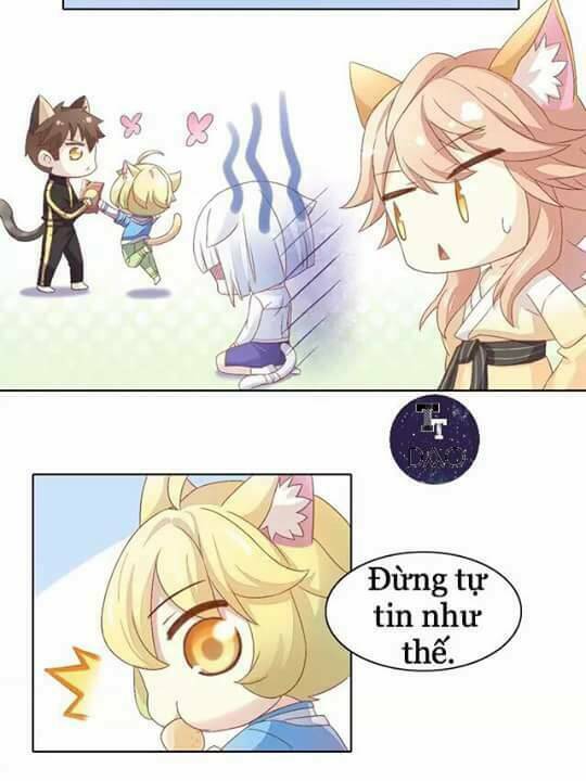 Dưới Móng Vuốt Mèo: Chapter 9