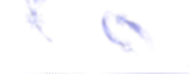 Vương Tử Và Ánh Trăng Đen: Chapter 11