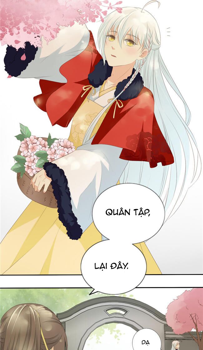 Quy Tự Dao: Chapter 62