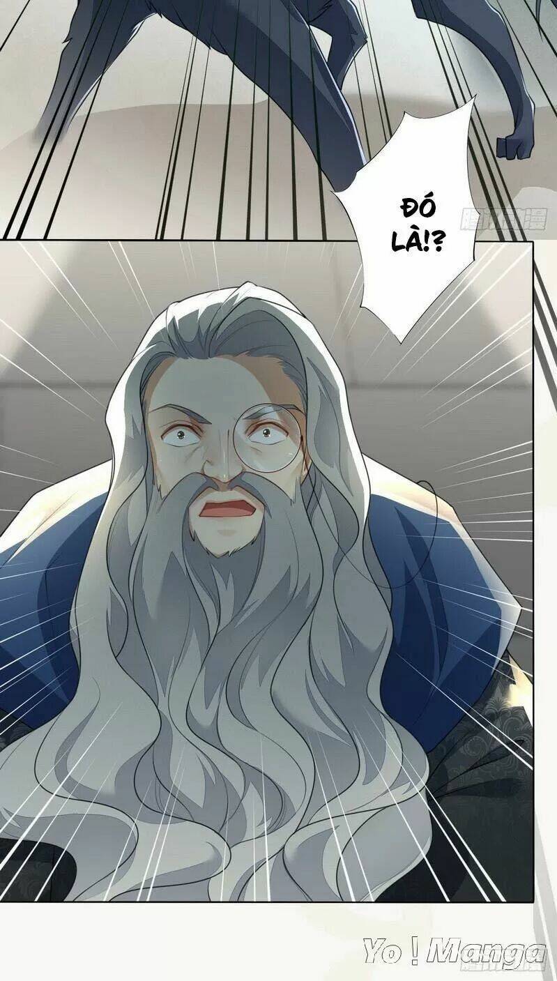 Tuyệt Thế Luyện Đan Sư: Chapter 153