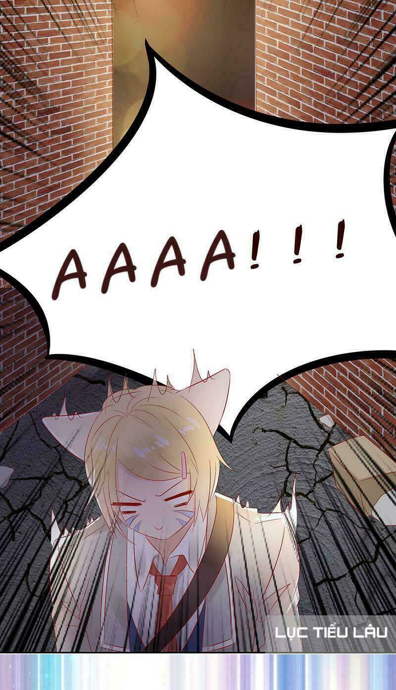 Băng Sơn Học Trưởng Không Được Chọc: Chapter 14