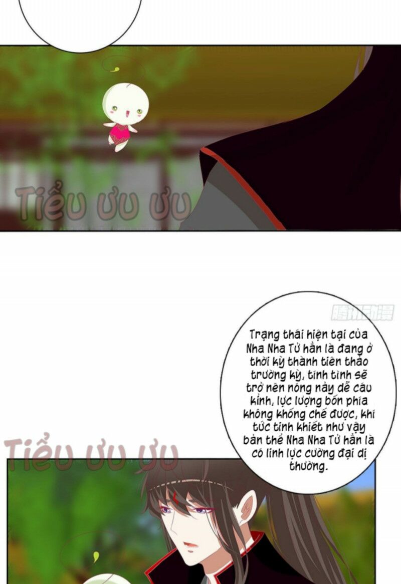 Thông Linh Phi: Chapter 729
