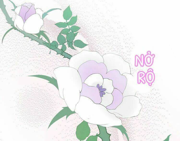 Thuần Trắng Vận Mệnh Chi Luân: Chapter 4