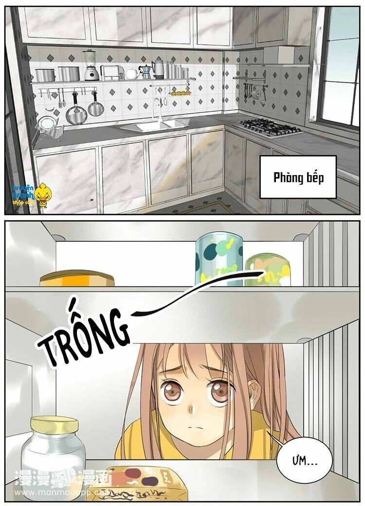Cứu Mạng! Loài Mèo Thống Trị Thế Giới Rồi!: Chapter 9
