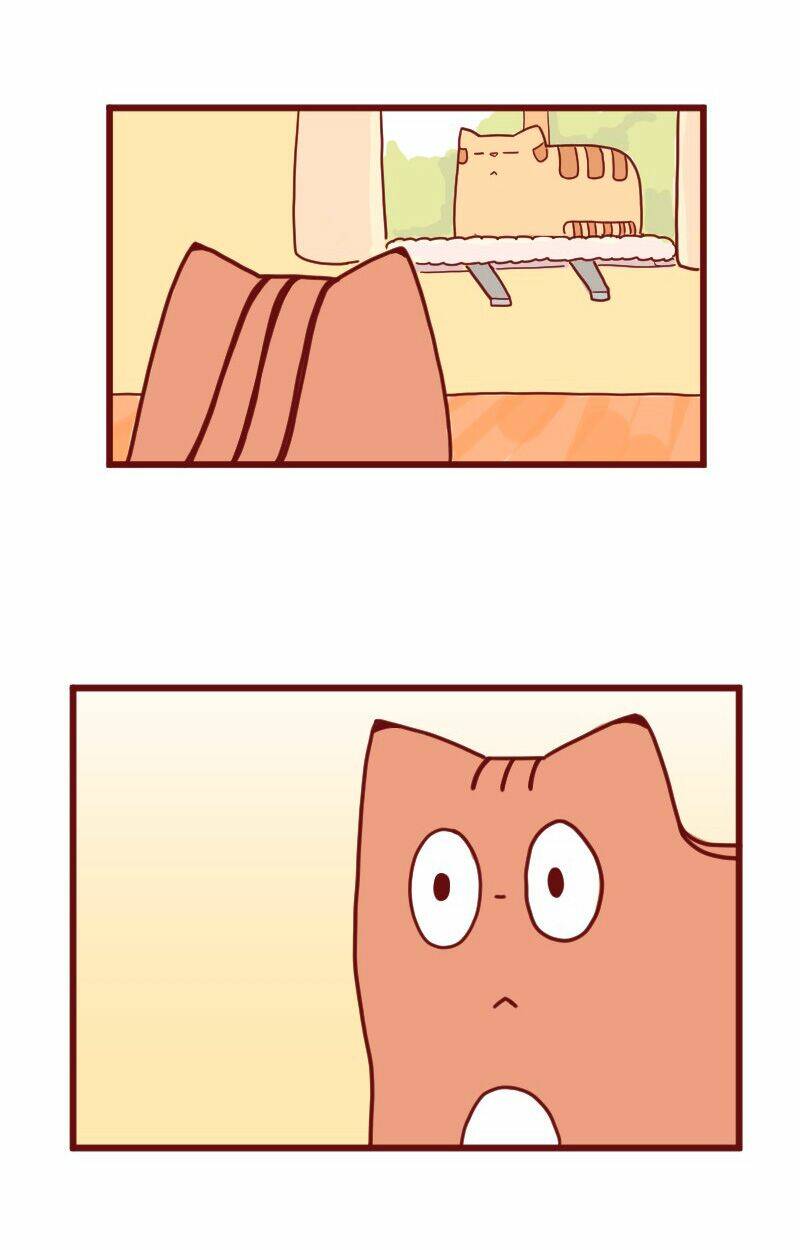 Saphie: Chú mèo một mắt: Chapter 10