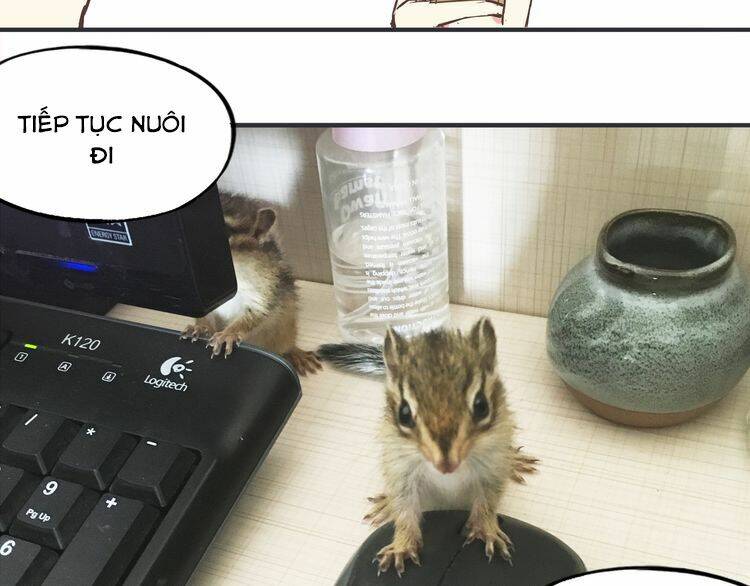 Yến Sơn Phái Và Bách Hoa Môn: Chapter 191