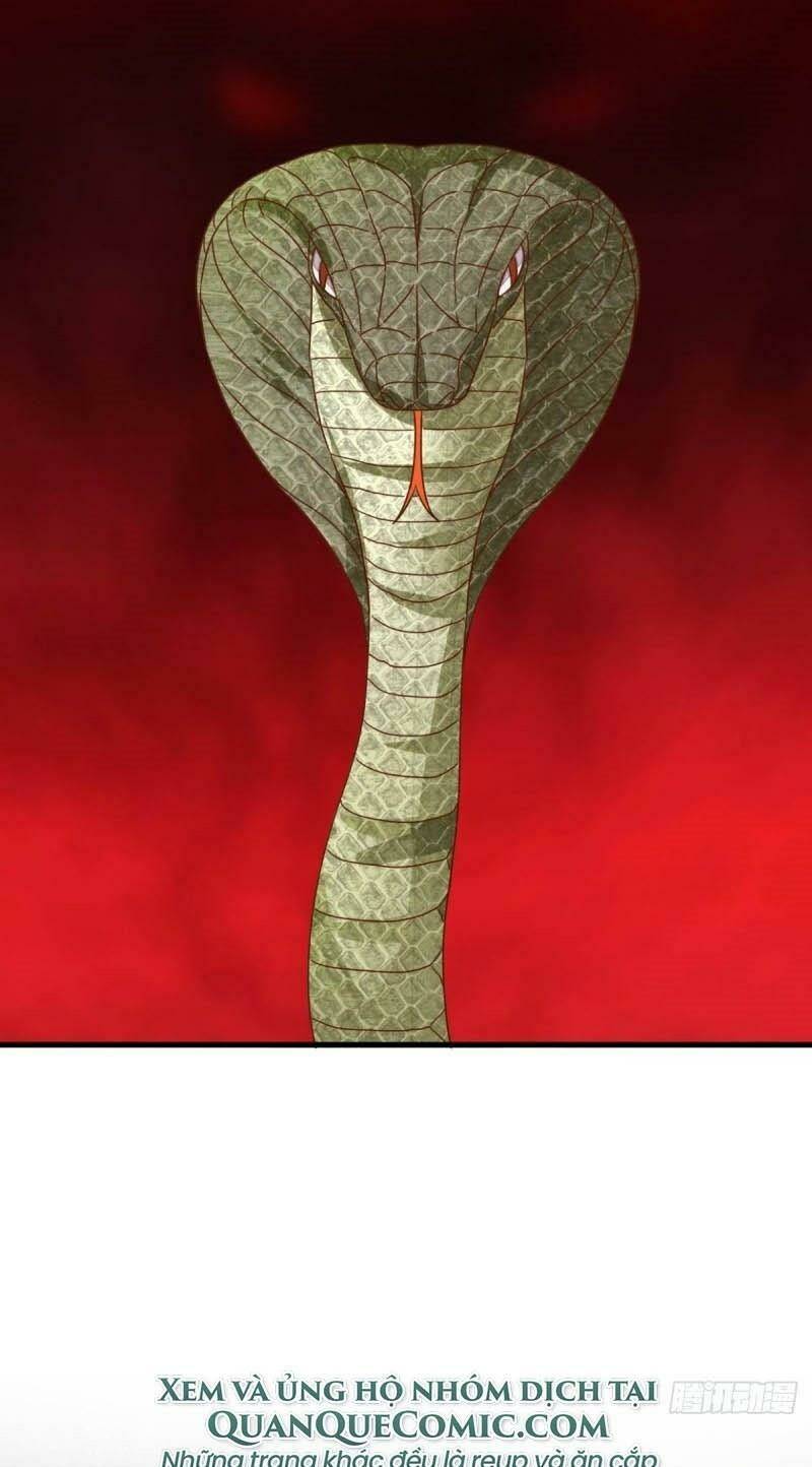 Đô Thị Siêu Cấp Y Sinh: Chapter 17