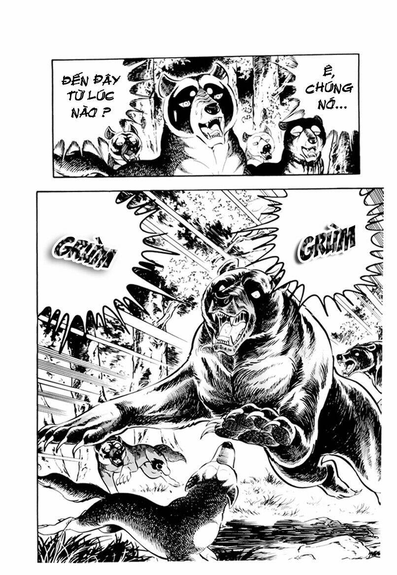 Chú Chó Có Nghĩa - Ginga Nagareboshi Gin: Chapter 32.1