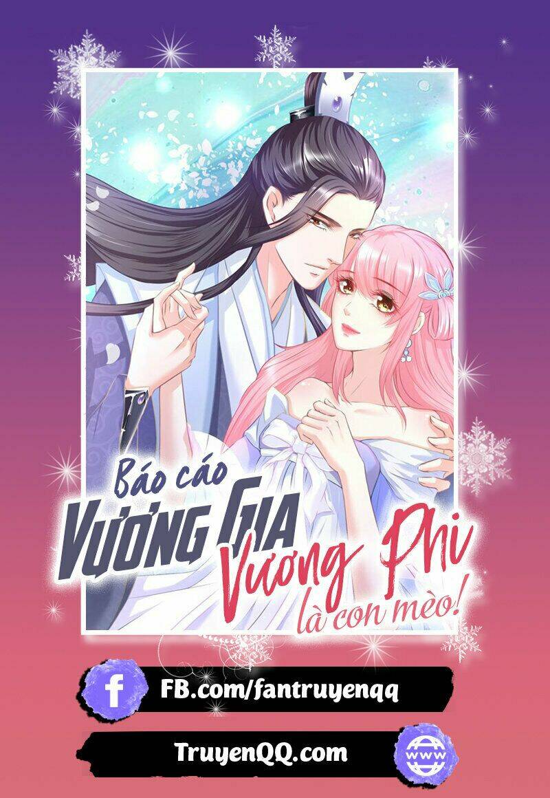 Báo Cáo Vương Gia, Vương Phi Là Một Con Mèo: Chapter 3