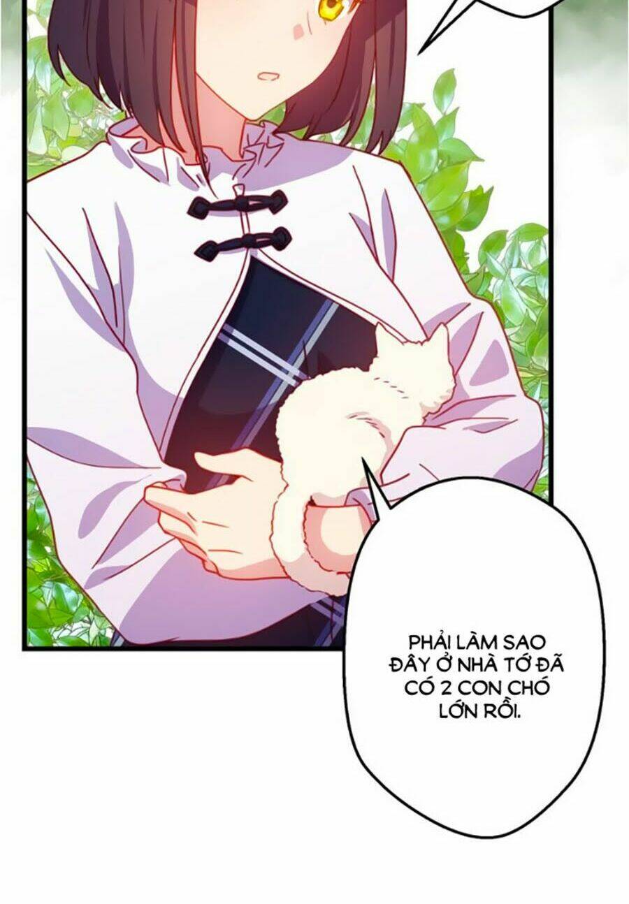 Bài Hát Tình Yêu: Chapter 10