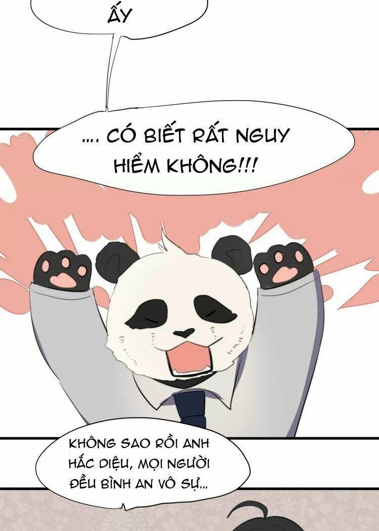 Tiểu Miêu Và Hắc Diệu Thạch: Chapter 14