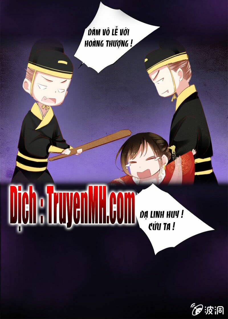 Solo Đi Vương Gia: Chapter 41