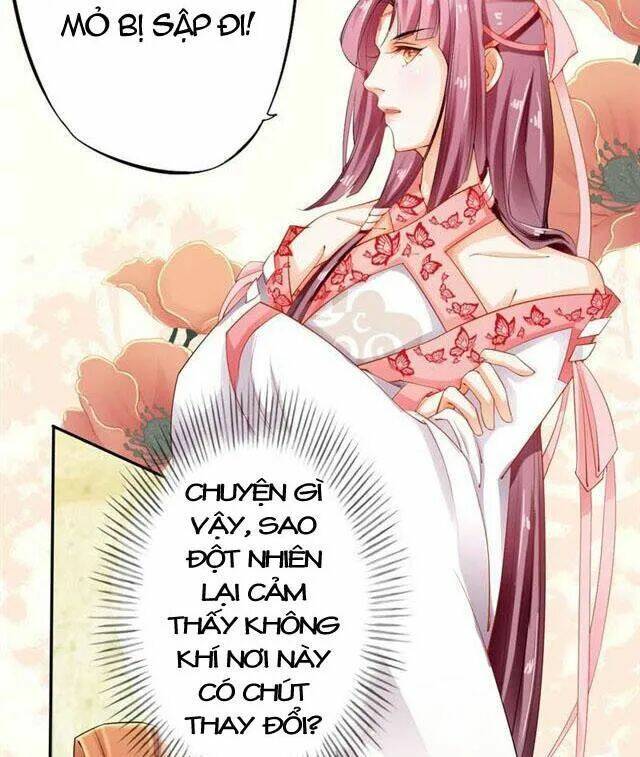 Tuyệt Thế Luyện Đan Sư: Chapter 15