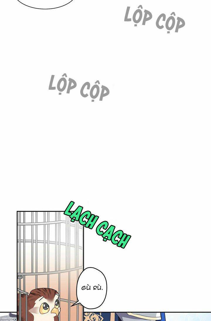 Công Chúa Của Loài Chim: Chapter 8