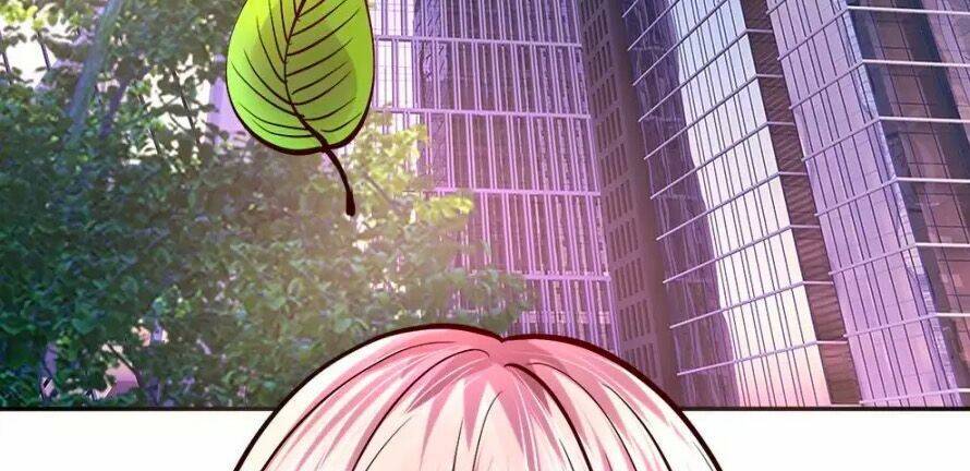 Y Sủng Thành Hôn: Chapter 19