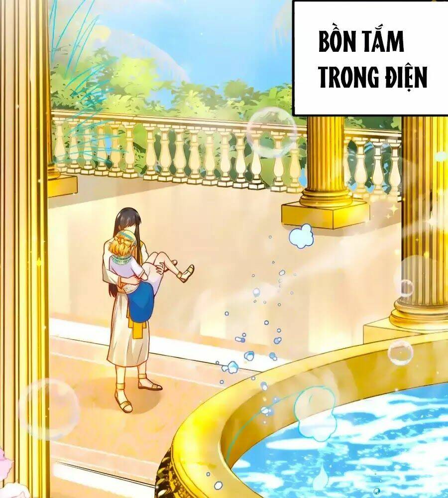 Sủng Hậu Của Vương: Chapter 5