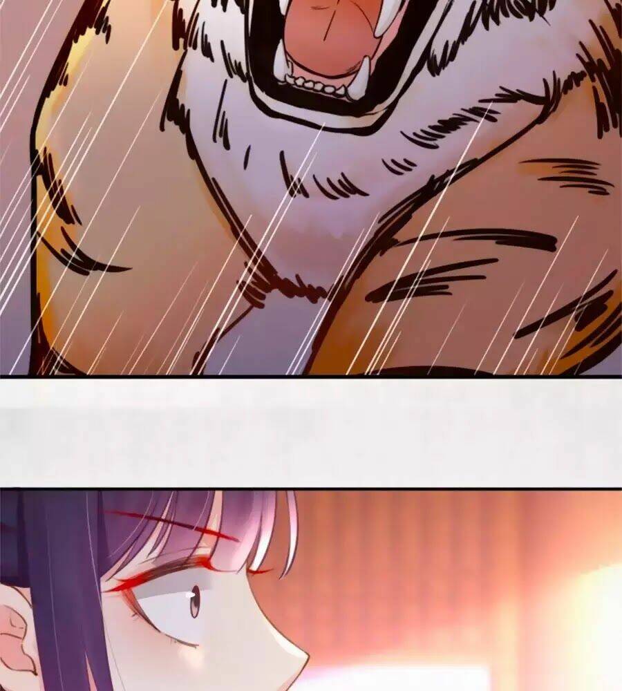 Hoạn Phi Hoàn Triều: Chapter 38