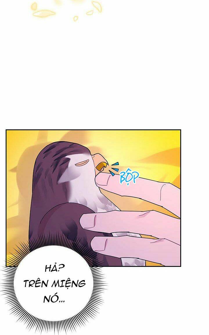 Công Chúa Của Loài Chim: Chapter 38.2