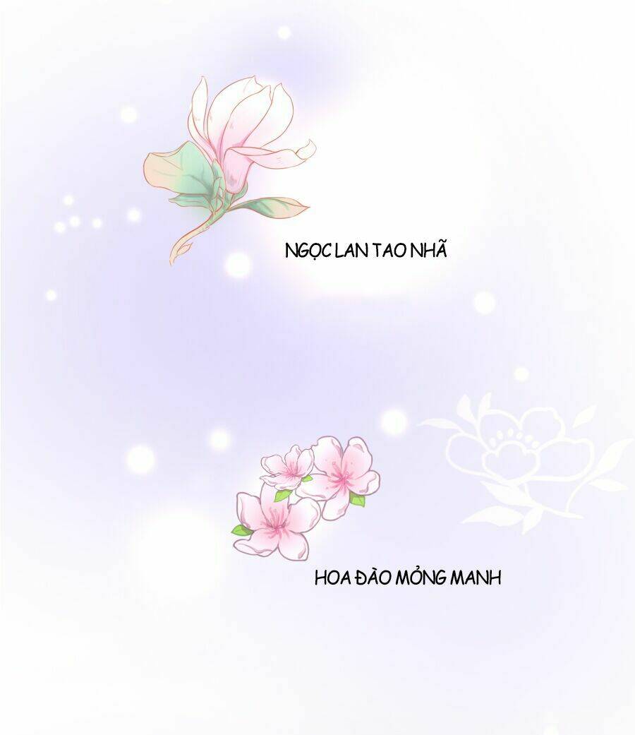 Đường Hoa Nhất Mộng Cổ Phi Truyện: Chapter 11