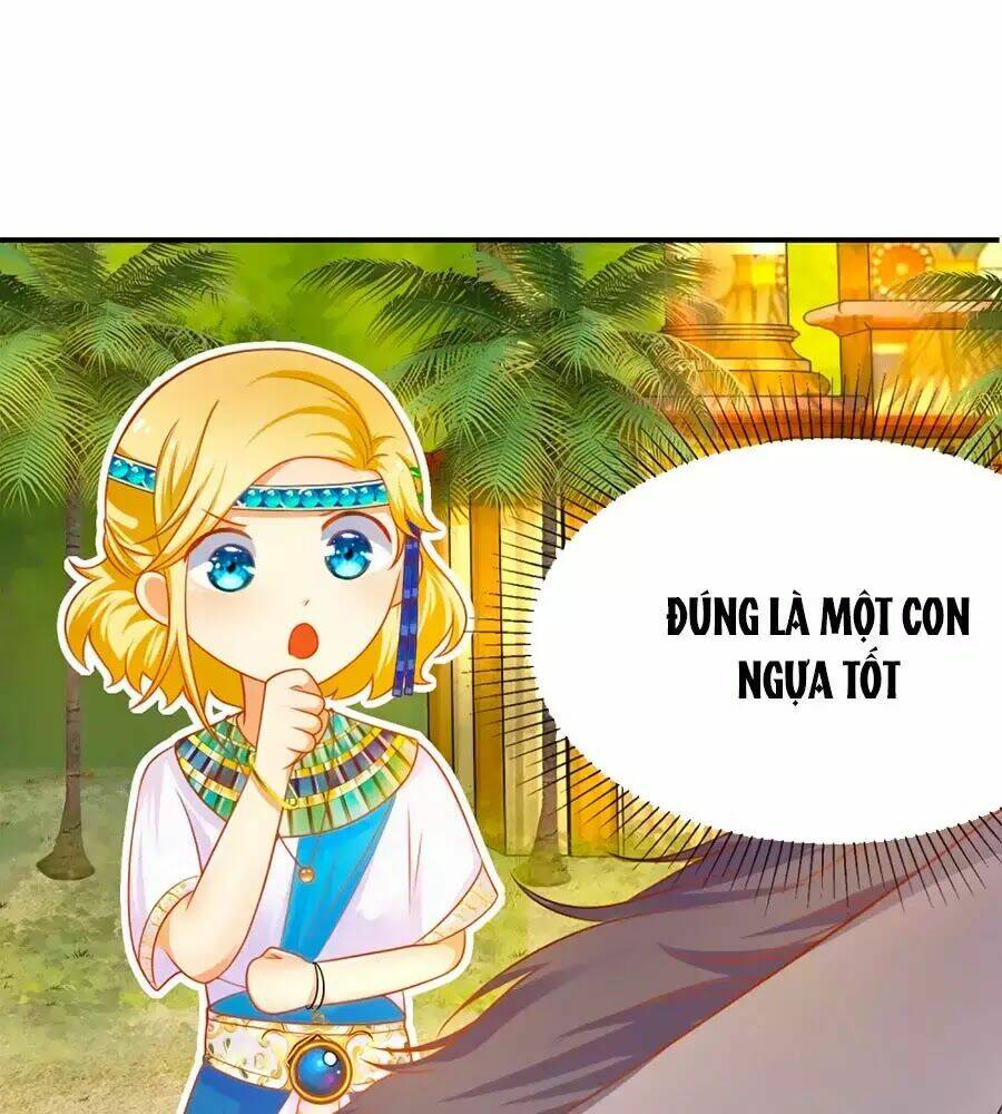 Sủng Hậu Của Vương: Chapter 2