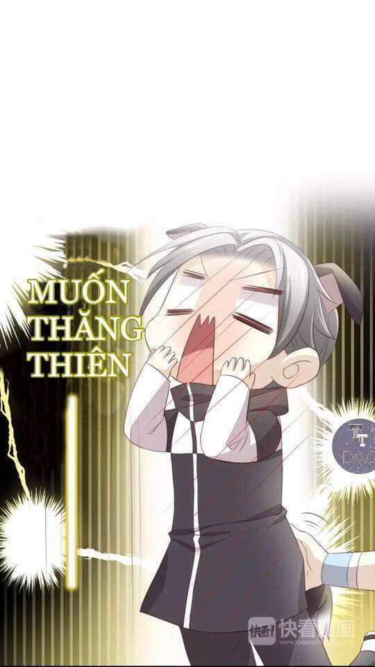 Dưới Móng Vuốt Mèo: Chapter 17