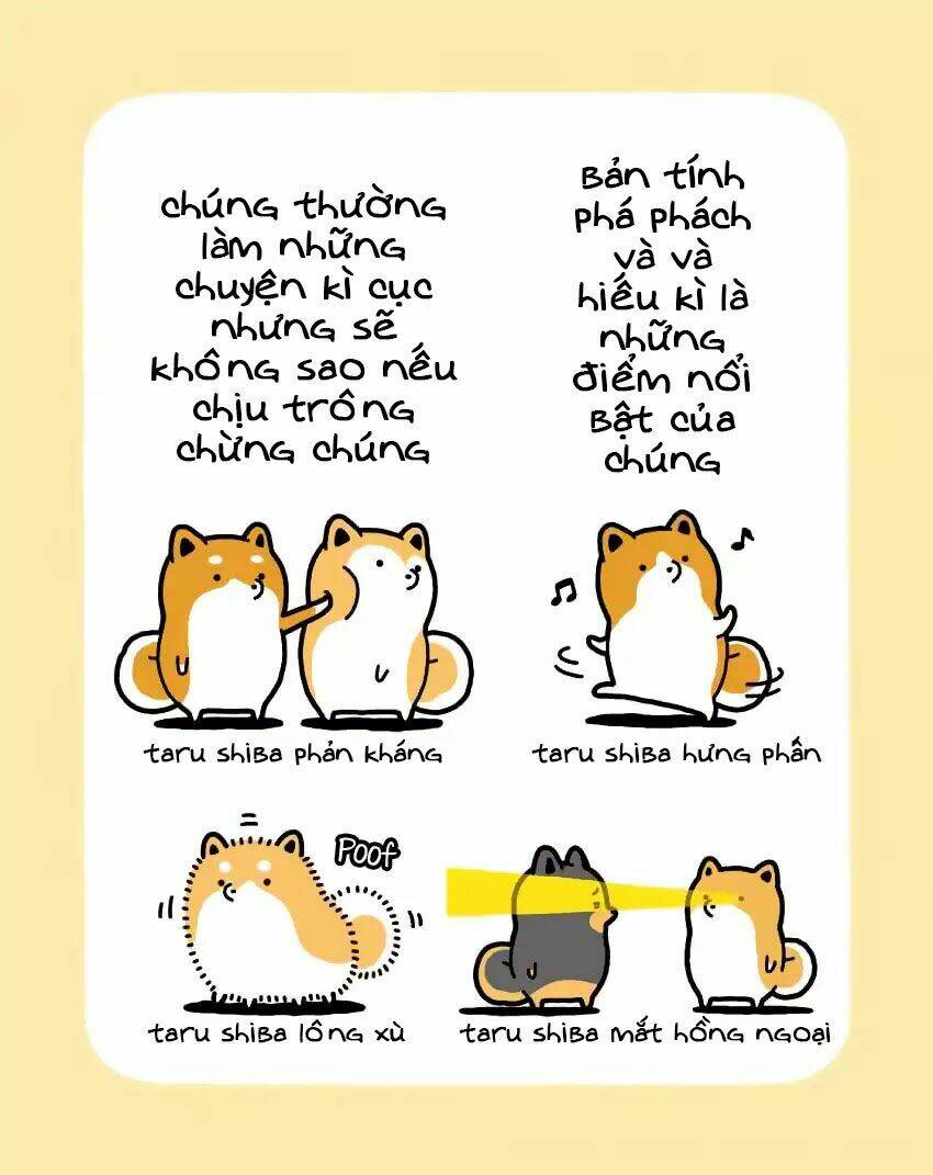 Taru Shiba: Chapter 1