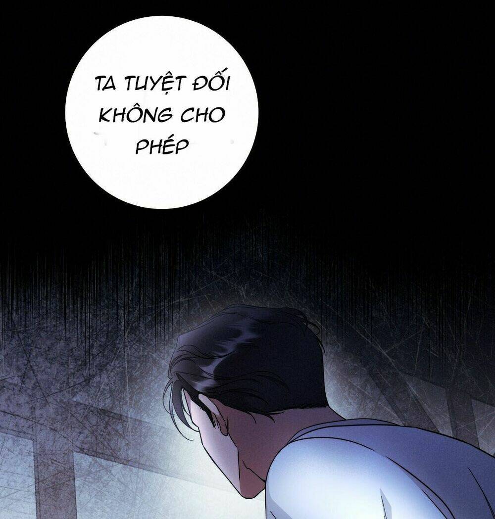 Lời Nói Dối Vĩnh Cửu: Chapter 20