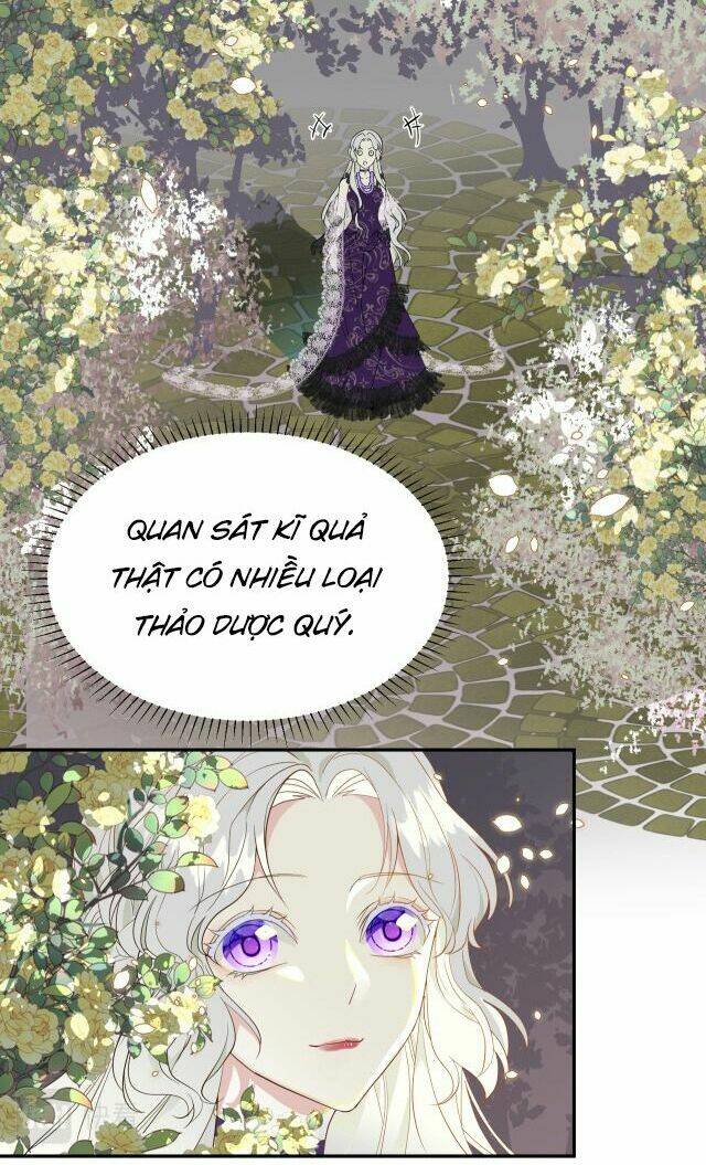Ta Là Nữ Phụ Độc Ác: Chapter 4