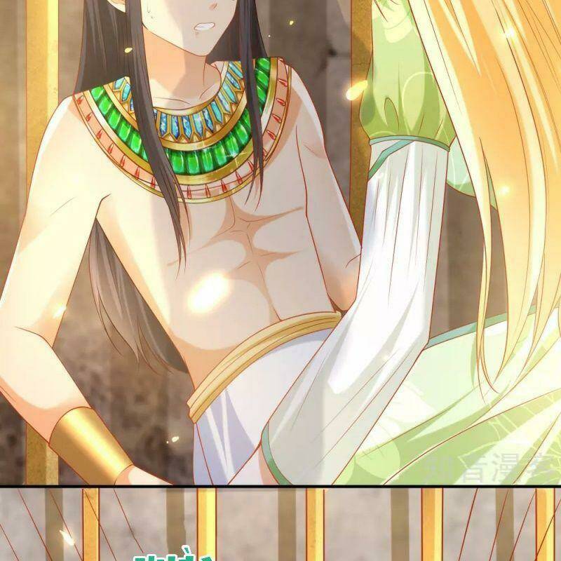 Sủng Hậu Của Vương: Chapter 56