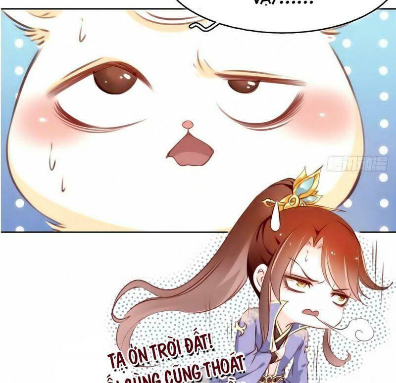 Nàng Trở Thành Bạch Nguyệt Quang Của Vương Gia Bệnh Kiều: Chapter 0