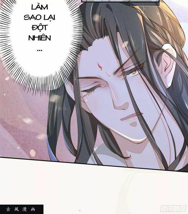 Tuyệt Thế Luyện Đan Sư: Chapter 26