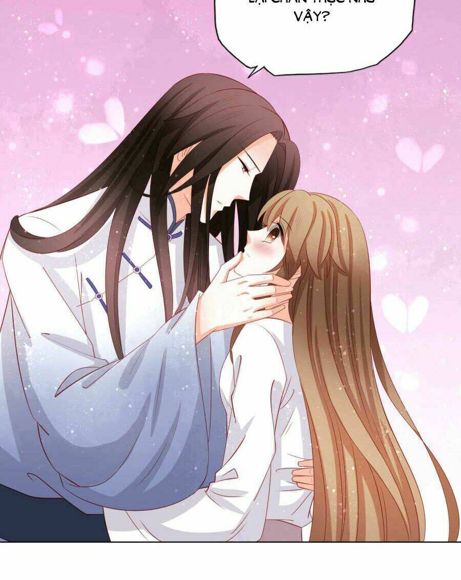 Nam Phi Nữ Tướng: Chapter 48