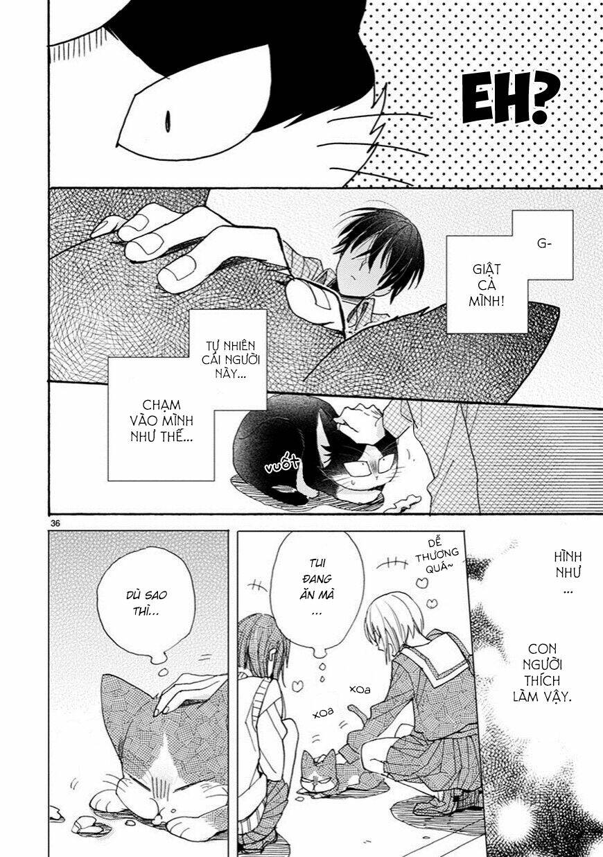 Doukyonin Wa Hiza, Tokidoki, Atama No Ue: Chapter 3.5