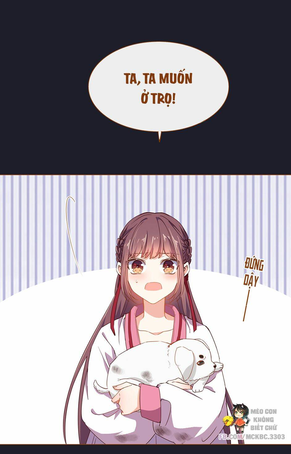 Boss Khủng Bố Chiếm Đoạt Ta: Chapter 5