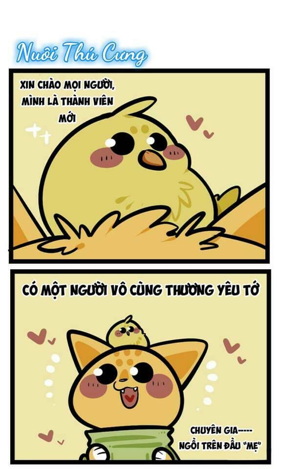 Đời Không Như Mình Tưởng: Chapter 38