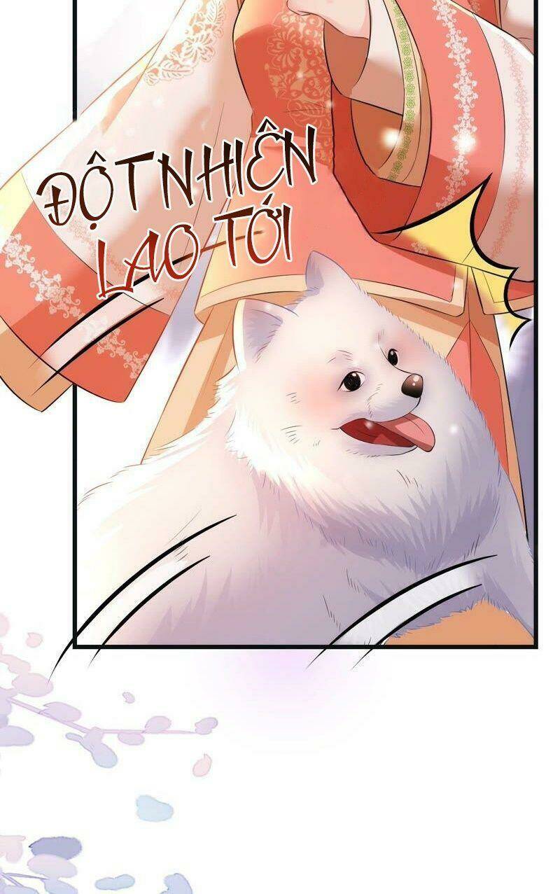 Quận Chúa Vững Vàng, Thiết Lập Nhân Vật Không Thể Vỡ: Chapter 55