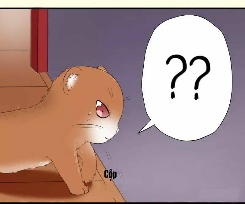 Hành Trình Sủng Đế Cơ: Chapter 2